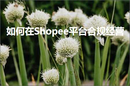 跨境电商知识:如何在Shopee平台合规经营