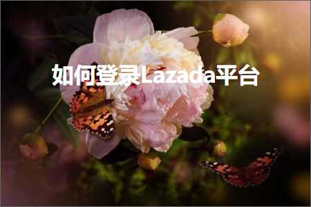 跨境电商知识:如何登录Lazada平台