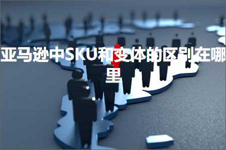 跨境电商知识:亚马逊中SKU和变体的区别在哪里