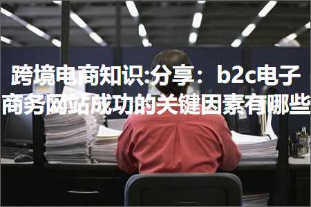 跨境电商知识:分享：b2c电子商务网站成功的关键因素有哪些