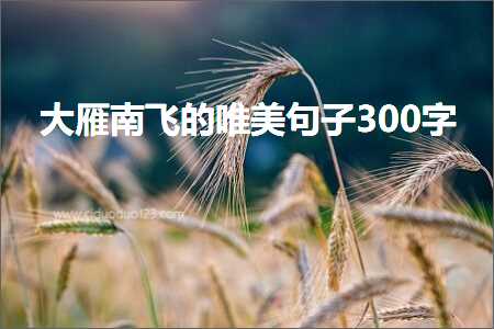 大雁南飞的唯美句子300字（文案258条）