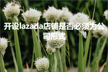 跨境电商知识:开设lazada店铺是否必须为公司形式